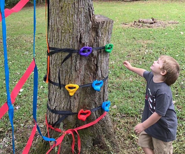 Tree Climbing Holds For Kids
