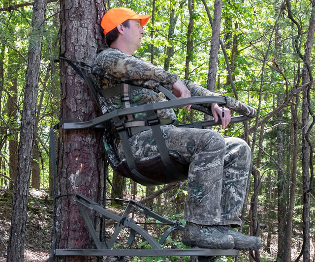 Climbing Treestand