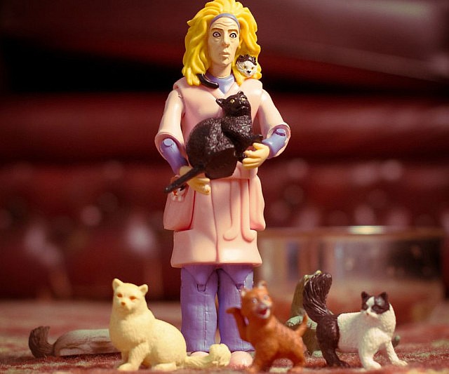 Crazy Cat Lady Action Figure Set