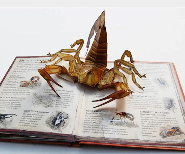 The Pop-up Book Of Bugs
