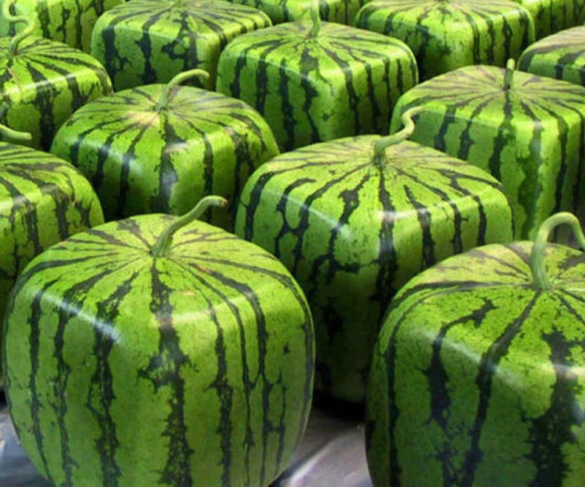 Cubed Watermelon Mold