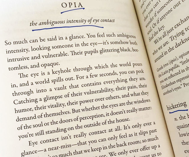The Dictionary Of Obscure Sorrows