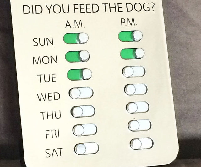 Did You Feed The Dog?