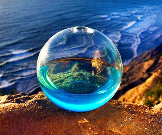 Bioluminescent Plankton Mini Aquarium