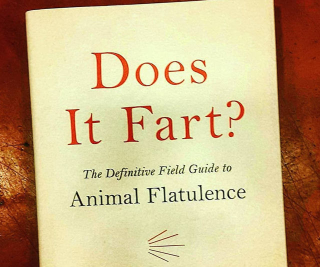 Does It Fart?
