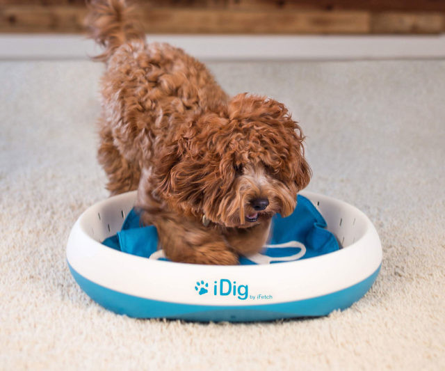 Dog Digging Toy