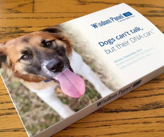 Dog Breed DNA Test
