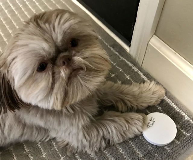Smart Dog Doorbell