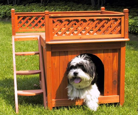 Dog Bunk Bed