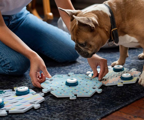 Dog Talking Buttons