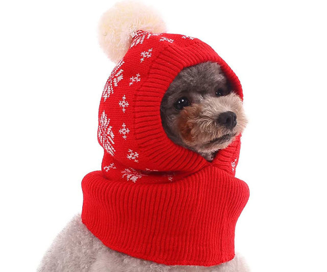Dog Winter Hat