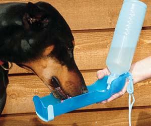 Dog Water Bottle