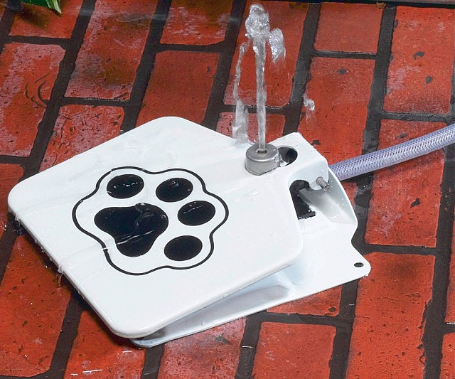 Doggie Pedal Water Fountain