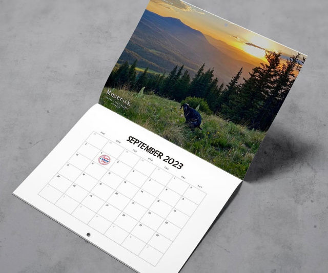 Dogs Pooping In Beautiful Places Calendar