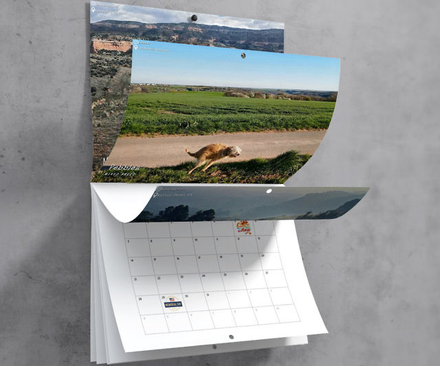 Dogs Pooping In Beautiful Places Calendar