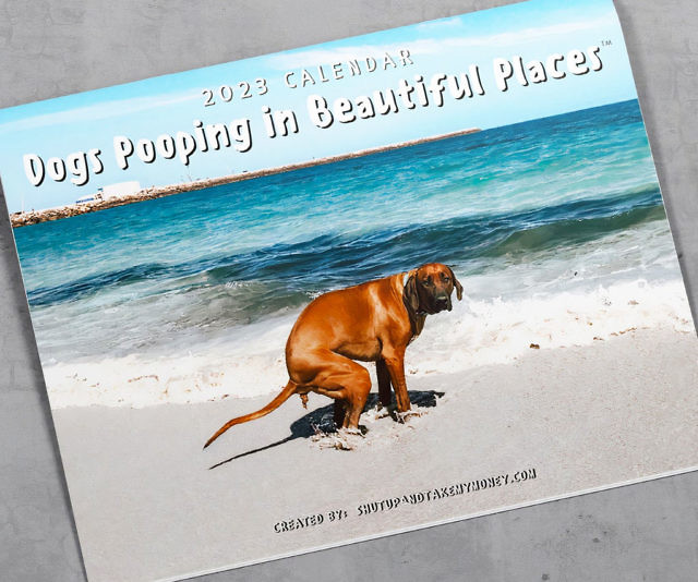 Dogs Pooping In Beautiful Places Calendar