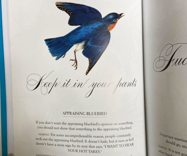 Effin’ Birds Field Guide Book