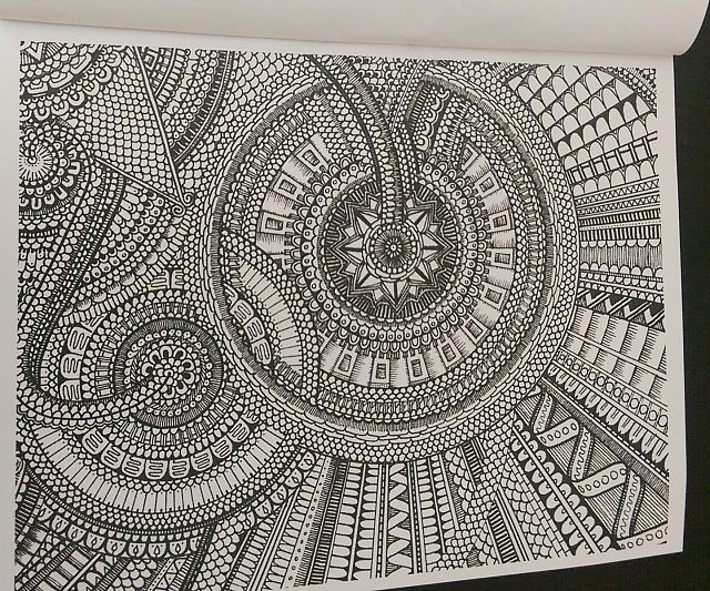 Color Me Crazy Expert Coloring Book