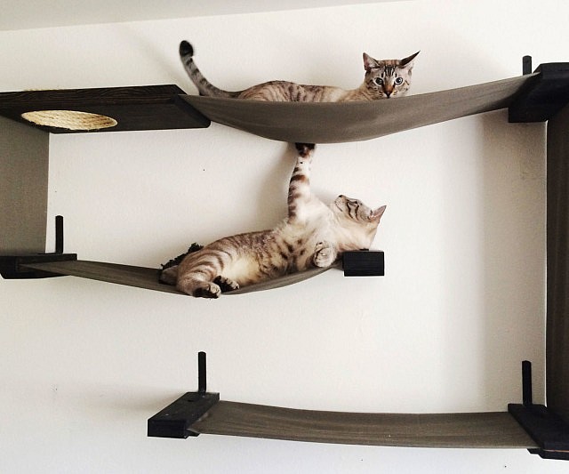 Fabric Cat Maze
