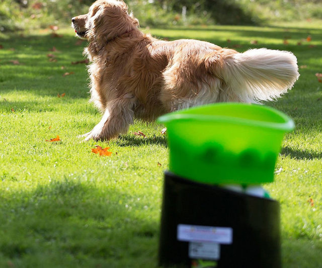 Ball Launching Fetch Machine