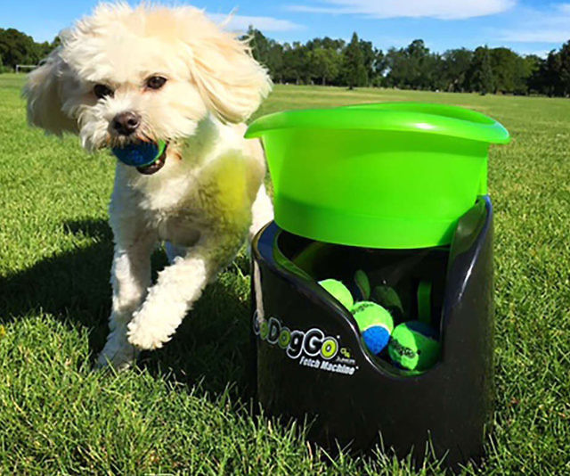 Ball Launching Fetch Machine
