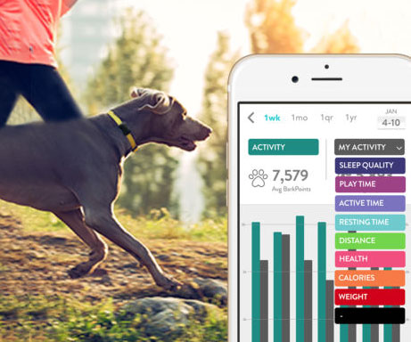 Dog Activity & Sleep Tracking Collar