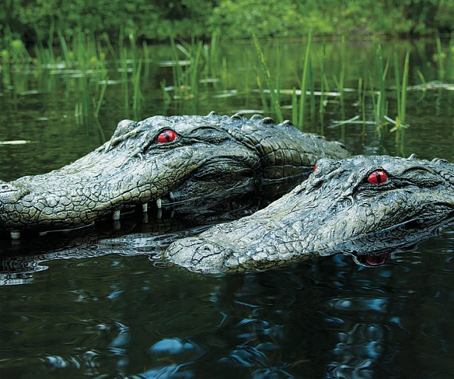 Floating Alligator Head Decoy