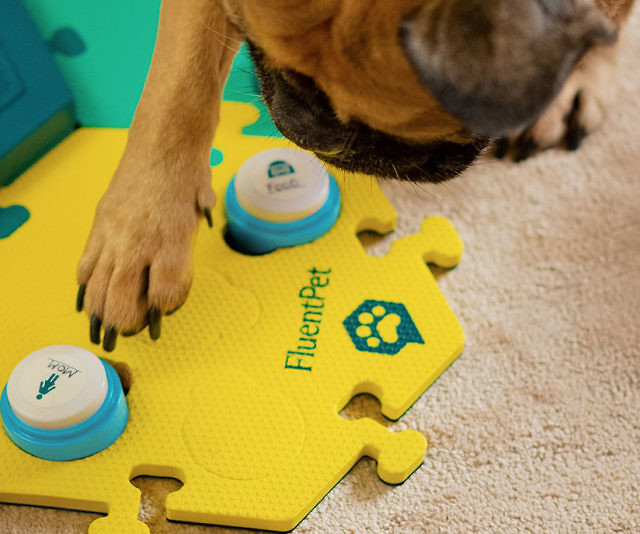 Dog Talking Buttons