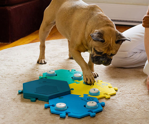 Dog Talking Buttons