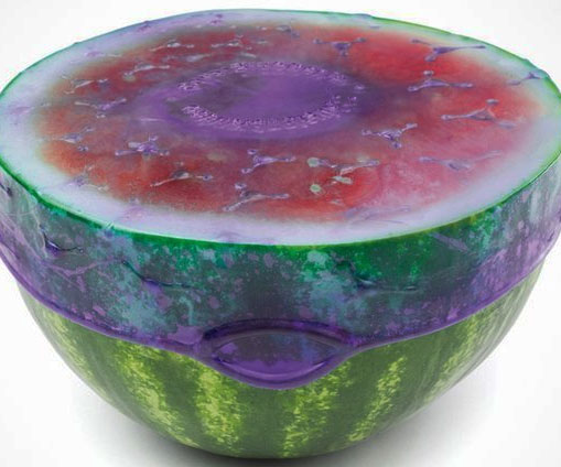 Reusable Rubber Food Savers