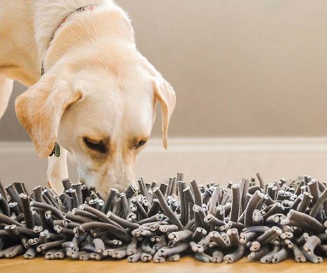 Foraging & Feeding Mat For Dogs