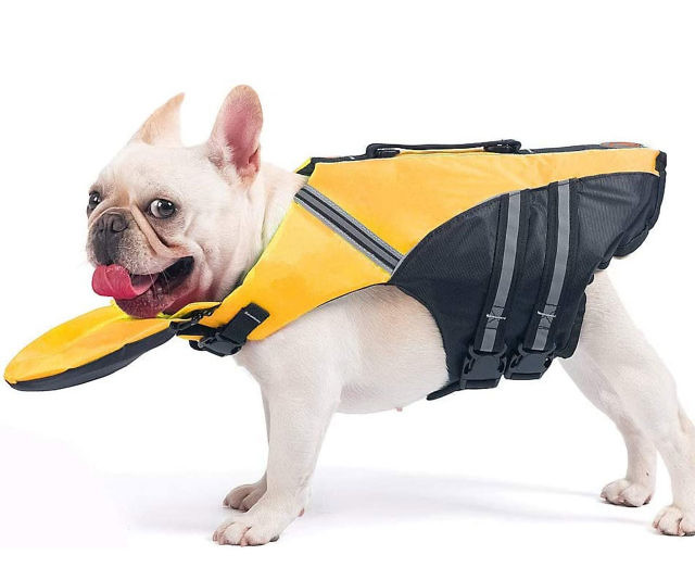 French Bulldog Life Jacket