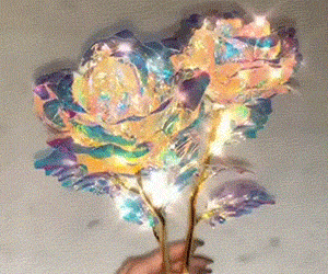 Sparkling Galaxy Roses