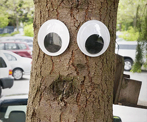 Giant Googly Eyes