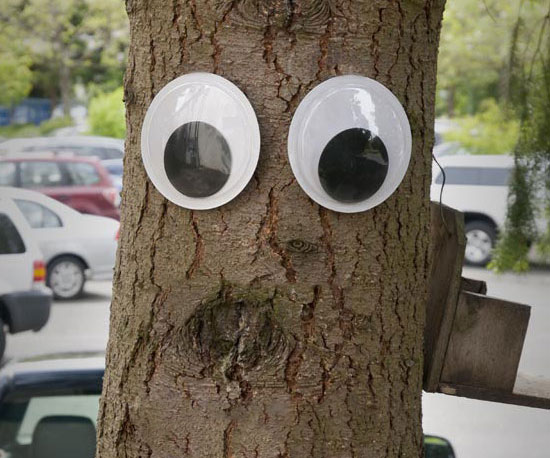 Giant Googly Eyes