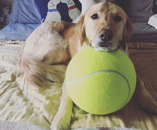 Giant Tennis Ball