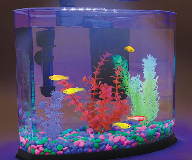 Glow In The Dark Aquarium