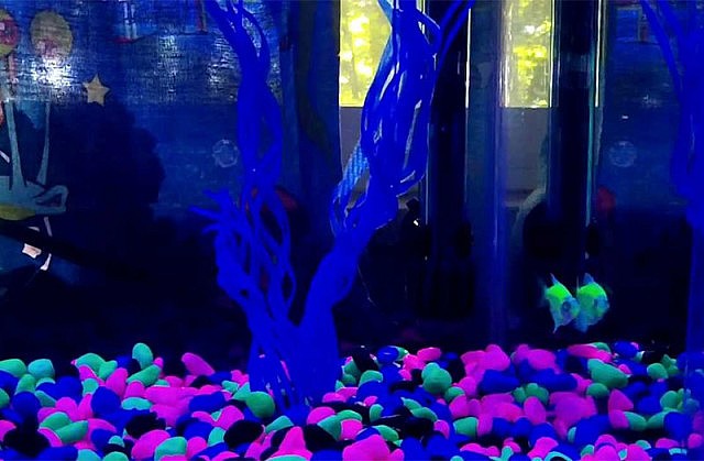 Glow In The Dark Aquarium Kit