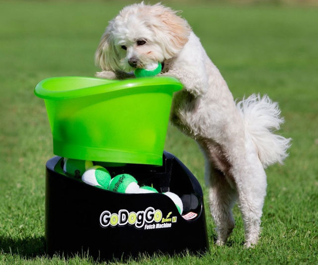 Ball Launching Fetch Machine