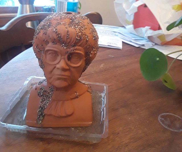 The Golden Girls Chia Pets
