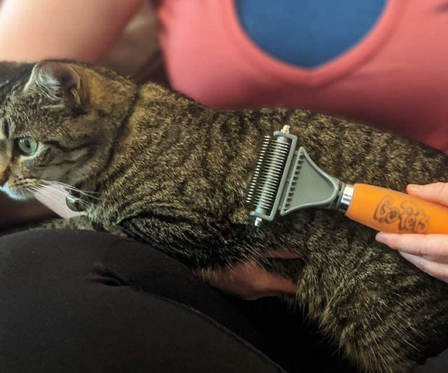 Professional Dematting Comb For Pets