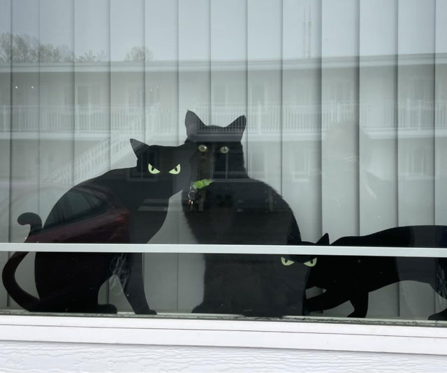 Black Cat Halloween Yard Decor