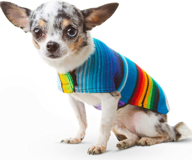 Handmade Dog Poncho