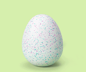 Hatching Baby Creatures