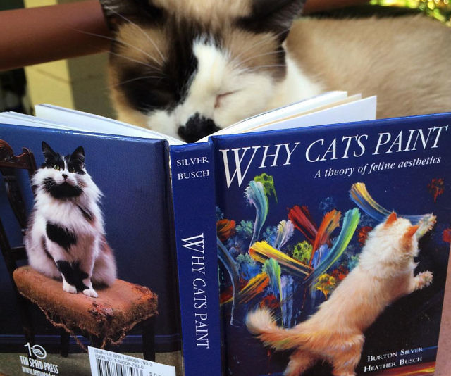 Why Cats Paint