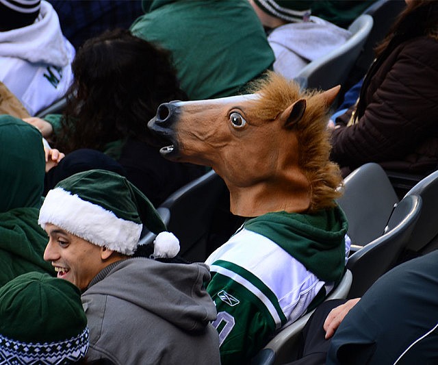 Horse Head Mask