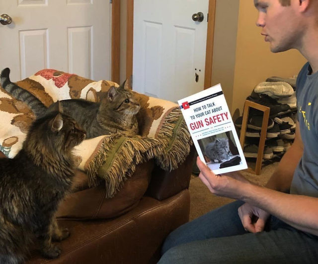 How To Talk To Your Cat About Gun Safety