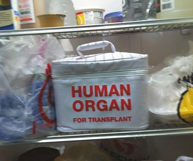 Human Organ Transport Lunch Bag