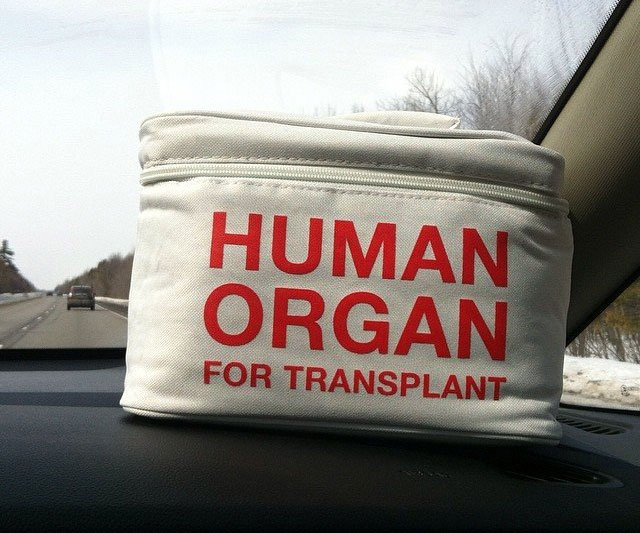 Human Organ Transport Lunch Bag