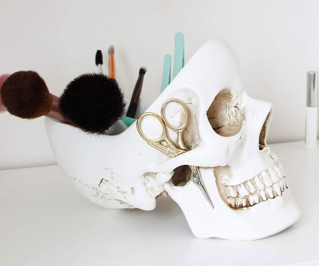 Human Skull Tidy